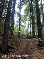 Zřícenina hradu Chlum