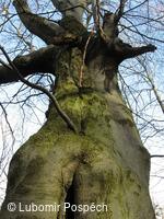 Survival v biologické rezervaci pod Kykulou