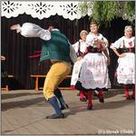 Libín - S, folklorní sdružení