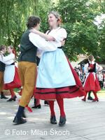 Jihočeský folklorní festival