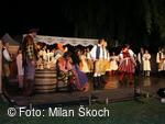 Jihočeský folklorní festival