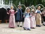 Jihočeský folklorní festival