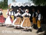 Jihočeský folklorní festival