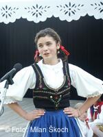 Jihočeský folklorní festival