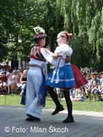 Jihočeský folklorní festival