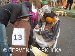 Čarodějnice u Perníkové chaloupky 2011